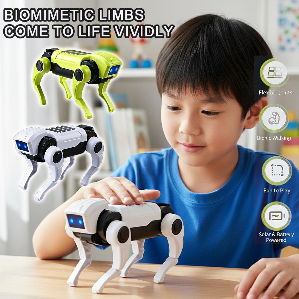1-10PCS DIY Assembly RC Robot  - Science Project Robot recension och pris