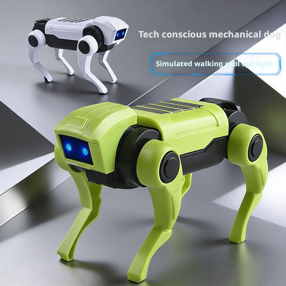 Kids DIY Assembly Electric Bio - Science Project Robot recension och pris